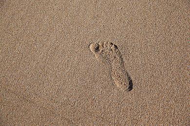 《暗网直播者》正式预告 暂不支持简中